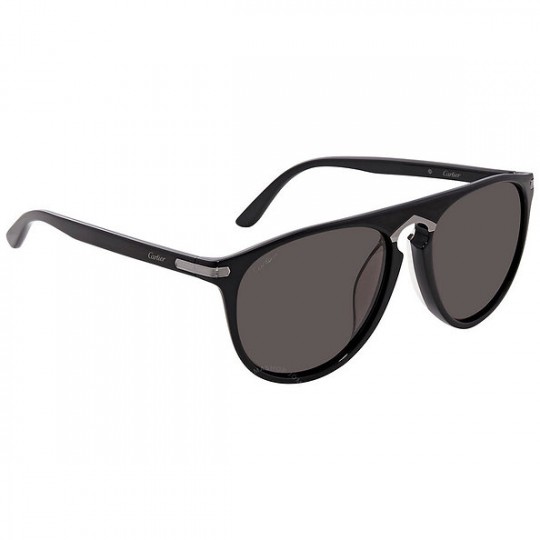 cartier-unisex-sunglasses-3056505.jpeg