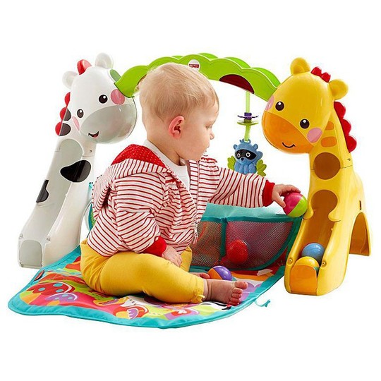 fisher-price-newborn-to-toddler-gym-4314000.jpeg