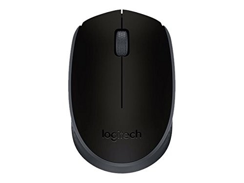 logitech-m171-wireless-mouse-black-2759555.jpeg