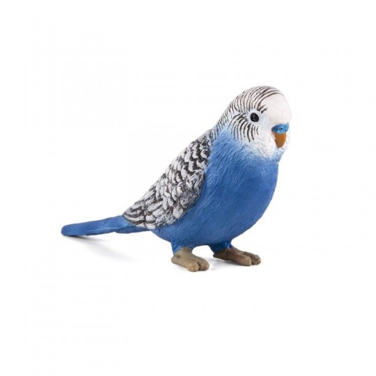 mojo-fun-budgerigar-blue-9576348.jpeg