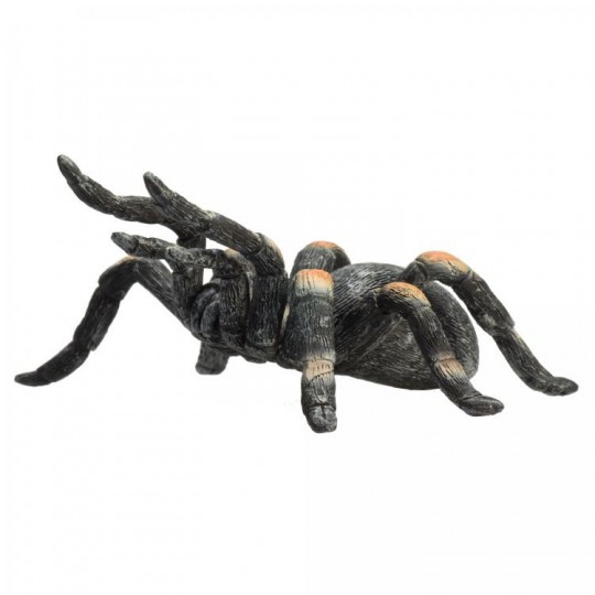 mojo-red-kneed-tarantula-3267245.jpeg