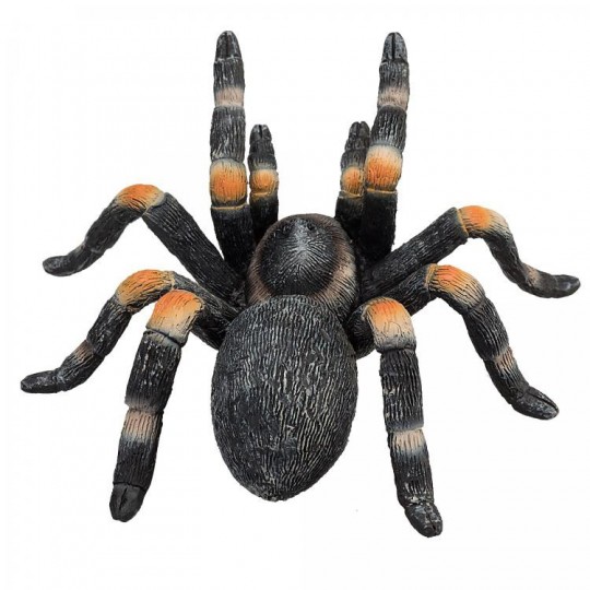 mojo-red-kneed-tarantula-4990410.jpeg