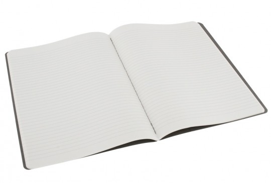 moleskine-cashier-xl-ruld-st-3-gy-134268-5777240.jpeg