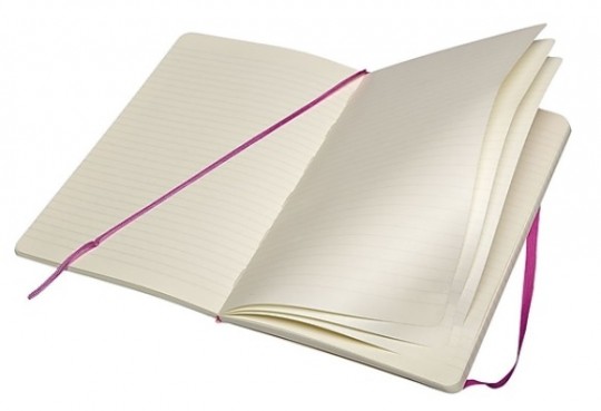 moleskine-ruled-notebook-soft-pe-lrg-323647-8128443.jpeg