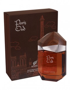 afnan-paris-oud-eau-de-parfum-100ml-3673389.jpeg
