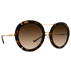 ana-hikmann-sunglass-ahs3166-9136306.jpeg