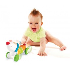 Bkids Senso Twist & Roll Puppy