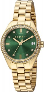 Esprit ALIA date Womens watch - ES1L341M0085