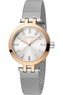 Esprit Brooklyn Womens watch-ES1L331M0115