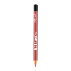 Farmasi Make Up Lipliner 203