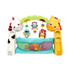 Fisher Price Newborn To Toddler Gym