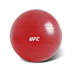 Fitball - 65cm -4711667691598