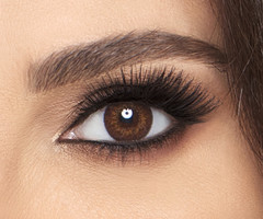 Freshlook Blend UV 2P MED 145 -00.00 BR