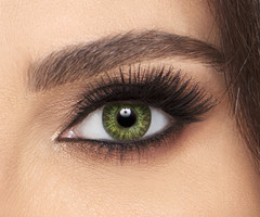 Freshlook Blend UV 2P Med 145 -00.00 GG