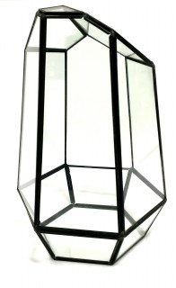 Glass And Brass Geometric Display Black 26x29