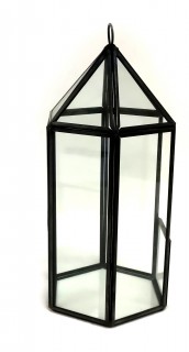 Glass And Brass Hexagon Display Black 9x20