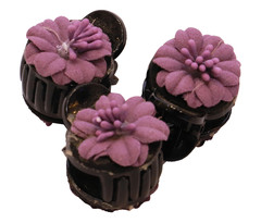 Hair Accessories 1  Purple