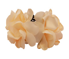 hair-accessories-500bz-beige-8643919.jpeg