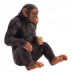 Mojo Chimpanzee