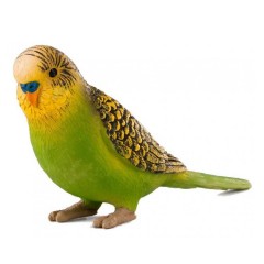 Mojo Fun Budgerigar Green