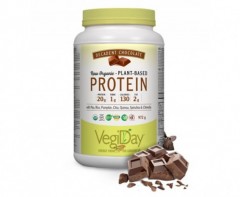 VEGIDAY RAW ORGANIC PROTEIN DECADENT CHOCOLAT 972G