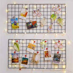 Metal Photo Frame Mesh 40X80Cm