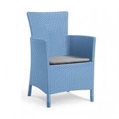 Iowa Dining Chair- Blue