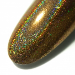 Holographic Rub for nail design Gold 0,2 gr