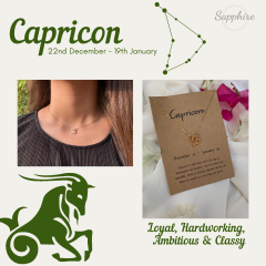 capricorn-necklace-4083590.png