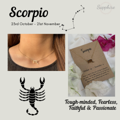 Scorpio Necklace