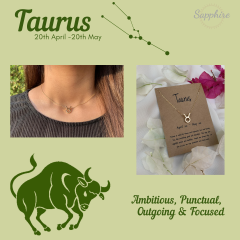 taurus-necklace-1421190.png