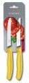 tomato-knife-yelow-2pc-1823039.jpeg