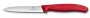 paring-knife-10-cm-red-8004987.jpeg