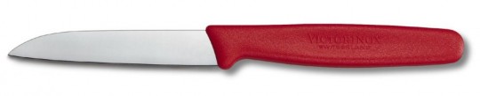 victorinox-paring-knife-4579590.jpeg