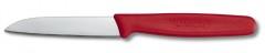 Victorinox Paring Knife