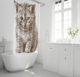 shower-curtainbath-mat-sets-141-8819552.png