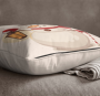 christmas-cushion-covers-35x50-215-4919492.png