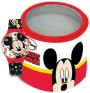 walt-disney-kid-watch-mod-mickey-mouse-tin-box-2525266.jpeg