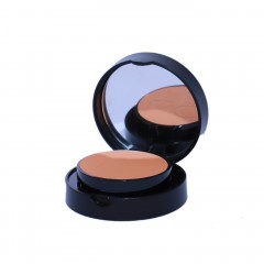 Note Luminous Silk Compact Blusher 08 10gr