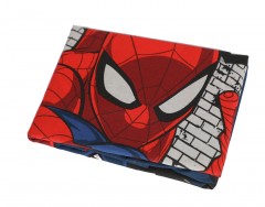 Disney Pillow Case 2Pc Spiderman