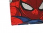 disney-pillow-case-2pc-spiderman-1238358.jpeg