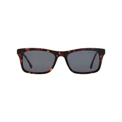 Dion Villard Men sunglasses, Tortoise \ Brown color frame, acetate material, Wayfarer Shape DVSG19021TO