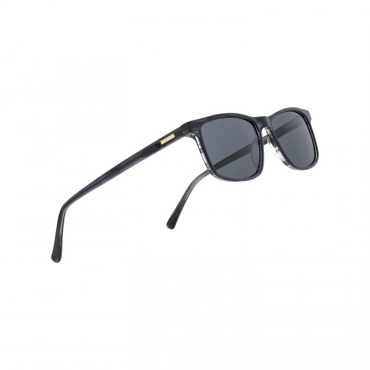 dion-villard-men-sunglasses-gray-color-frame-acetate-material-wayfarer-shape-dvsg1902tg-668925.jpeg