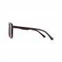 dion-villard-men-sunglasses-brown-color-acetate-material-aviator-square-shape-dvsg19035br-2301661.jpeg