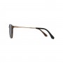 dion-villard-men-sunglasses-brown-color-frame-metal-with-acetate-material-brow-line-shape-dvsg1909br-2930751.jpeg