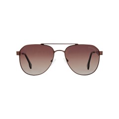 Dion Villard Men sunglasses, Brown color frame, stainless steel material, classic aviator shape DVSG1920033BR