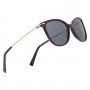 dion-villard-ladies-sunglasses-gold-red-color-stainless-steel-material-cat-eye-shape-dvsgl1902rg-9277713.jpeg
