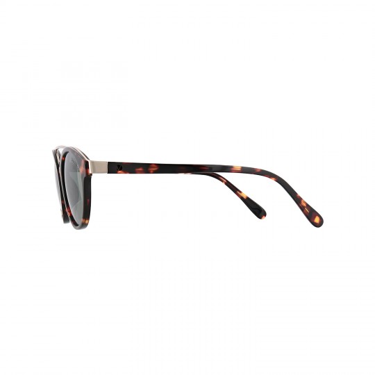 dion-villard-ladies-sunglasses-tortoise-color-acetate-material-round-shape-dvsgl1905d-6894317.jpeg