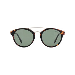 Dion Villard ladies sunglasses, Tortoise color, acetate material, Round shape DVSGL1905D