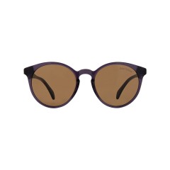 Dion Villard ladies sunglasses, Brown color, acetate material, Round shape DVSGL1912BR